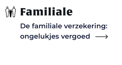 prijs Familiale BA Gezin familie verzekering tarief BA privéleven