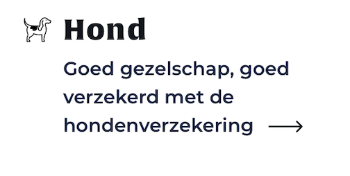 Hondenverzekering dierenarts kosten verzekering hond